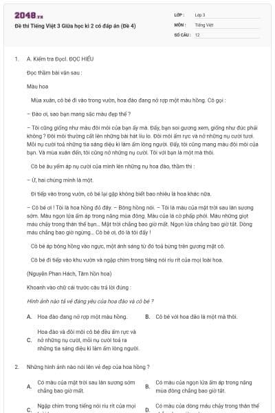 Đề thi Tiếng Việt 3 Giữa học kì 2 có đáp án (Đề 4)