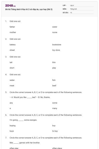Đề thi Tiếng Anh 6 Học kì 2 có đáp án, cực hay (Đề 3)