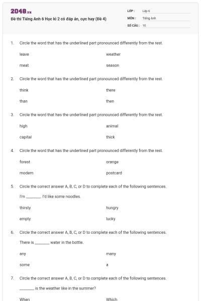 Đề thi Tiếng Anh 6 Học kì 2 có đáp án, cực hay (Đề 4)