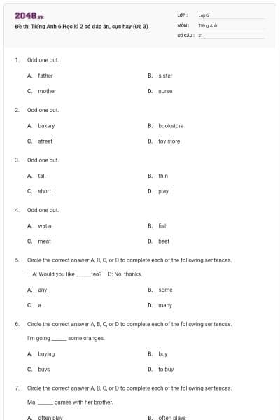 Đề thi Tiếng Anh 6 Học kì 2 có đáp án, cực hay (Đề 3)