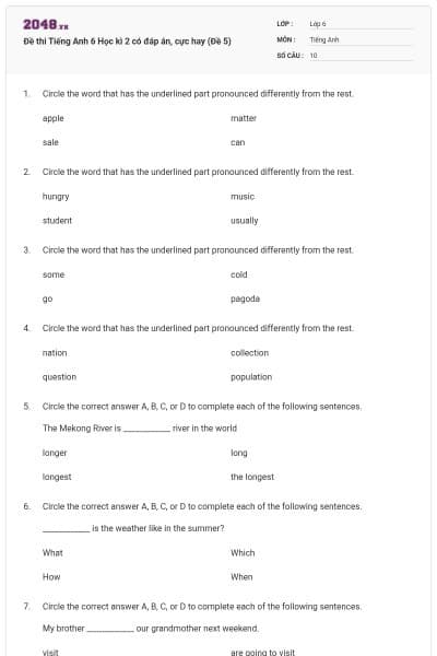 Đề thi Tiếng Anh 6 Học kì 2 có đáp án, cực hay (Đề 5)