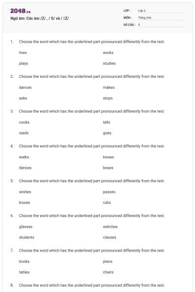 Ngữ âm: Các âm /Z/ , / S/ và / ꞮZ/
