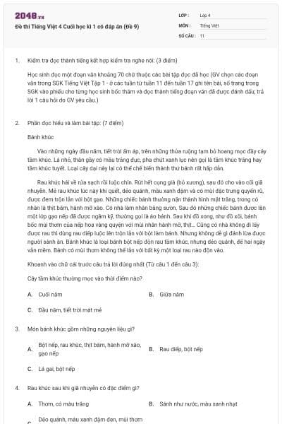 Đề thi Tiếng Việt 4 Cuối học kì 1 có đáp án (Đề 9)