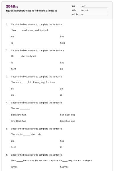 Ngữ pháp: Động từ Have và to be dùng để miêu tả