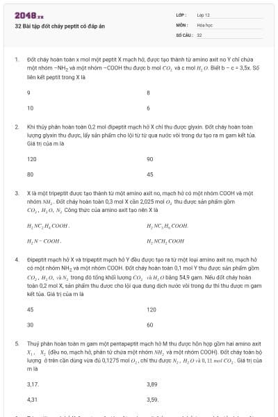 32 Bài tập đốt cháy peptit có đáp án