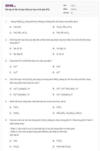 Bài tập về Sắt và hợp chất cực hay có lời giải (P2)