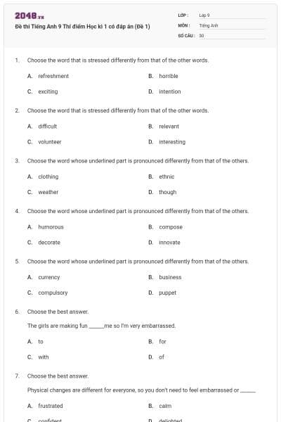 Đề thi Tiếng Anh 9 Thí điểm Học kì 1 có đáp án (Đề 1)