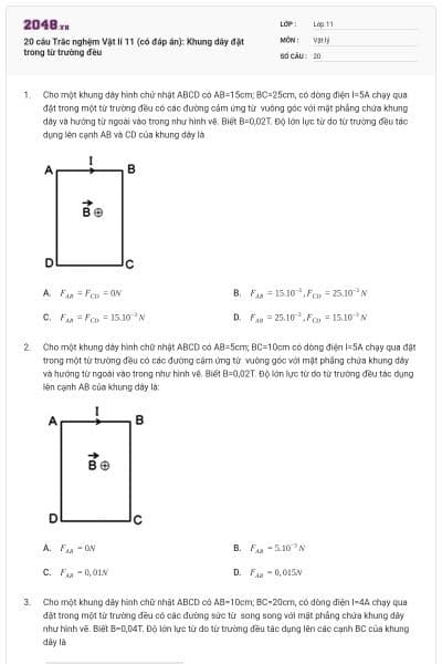 20 câu Trắc nghệm Vật lí 11 (có đáp án): Khung dây đặt trong từ trường đều