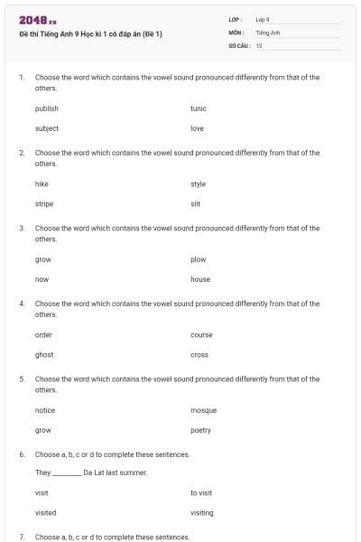 Đề thi Tiếng Anh 9 Học kì 1 có đáp án (Đề 1)