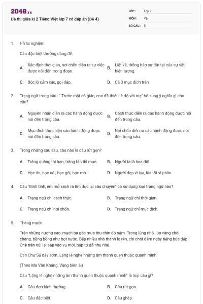 Đề thi giữa kì 2 Tiếng Việt lớp 7 có đáp án (Đề 4)