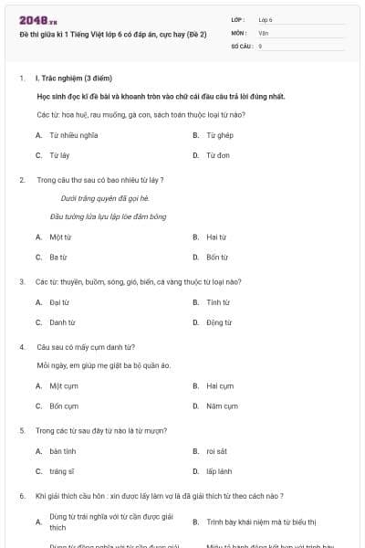 Đề thi giữa kì 1 Tiếng Việt lớp 6 có đáp án, cực hay (Đề 2)
