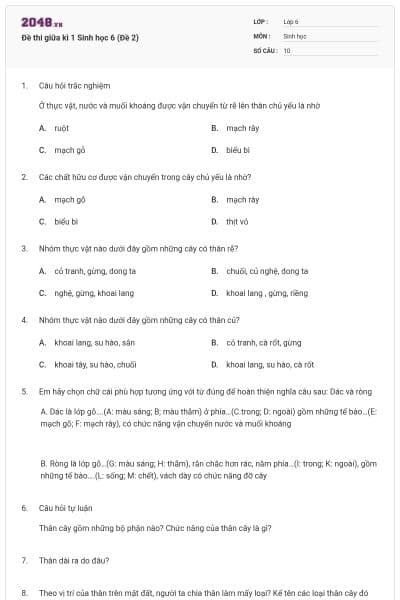 Đề thi giữa kì 1 Sinh học 6 (Đề 2)