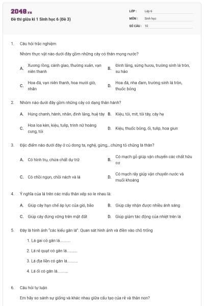 Đề thi giữa kì 1 Sinh học 6 (Đề 3)