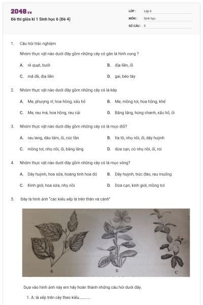 Đề thi giữa kì 1 Sinh học 6 (Đề 4)