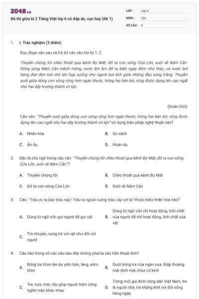 Đề thi giữa kì 2 Tiếng Việt lớp 6 có đáp án, cực hay (Đề 1)
