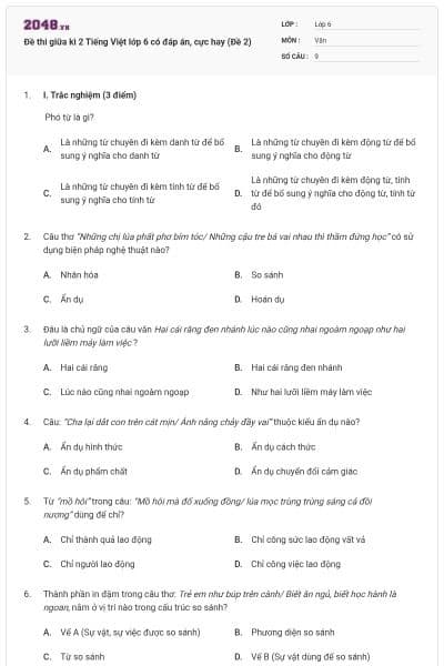 Đề thi giữa kì 2 Tiếng Việt lớp 6 có đáp án, cực hay (Đề 2)