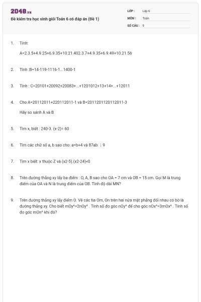 Đề kiểm tra học sinh giỏi Toán 6 có đáp án (Đề 1)