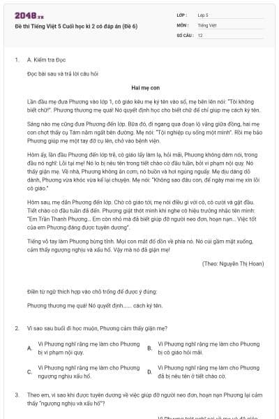 Đề thi Tiếng Việt 5 Cuối học kì 2 có đáp án (Đề 6)