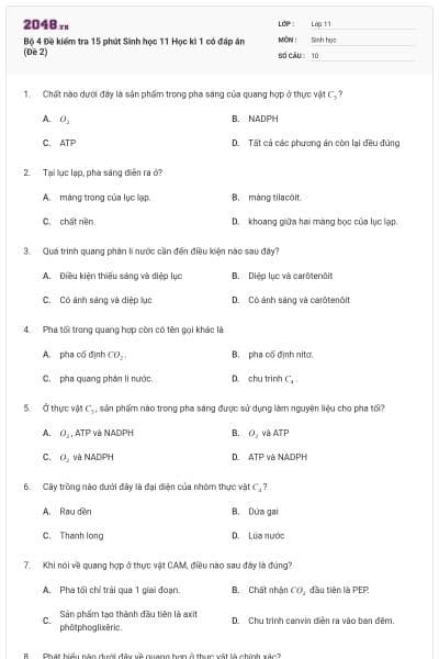 Bộ 4 Đề kiểm tra 15 phút Sinh học 11 Học kì 1 có đáp án (Đề 2)
