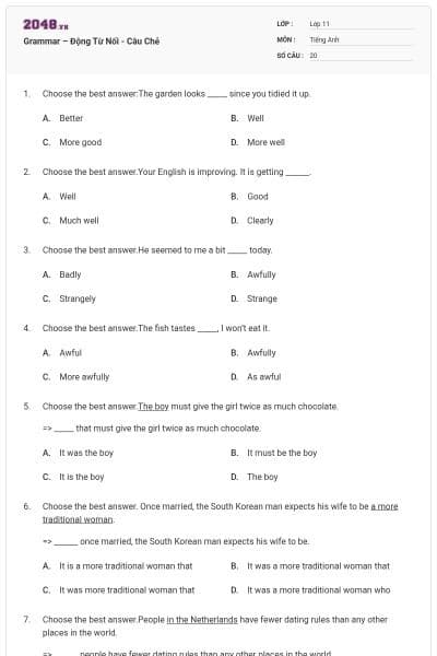 Grammar – Động Từ Nối - Câu Chẻ