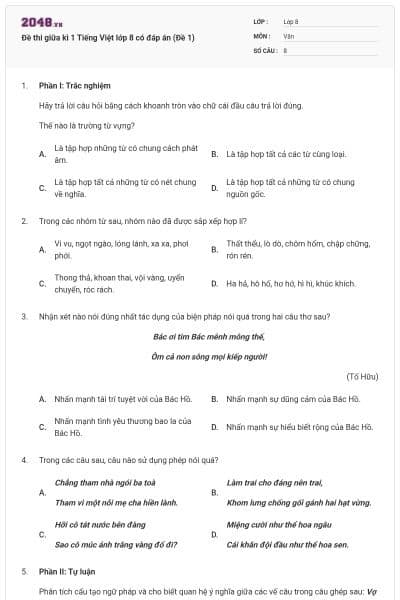 Đề thi giữa kì 1 Tiếng Việt lớp 8 có đáp án (Đề 1)