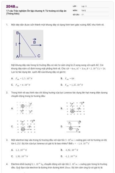 17 câu Trắc nghiệm Ôn tập chương 4: Từ trường có đáp án (Thông hiểu)