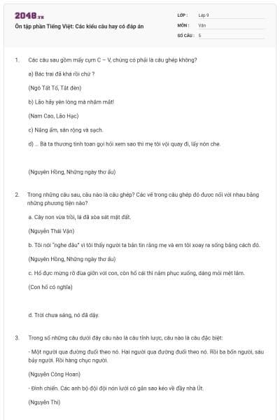 Ôn tập phần Tiếng Việt: Các kiểu câu hay có đáp án