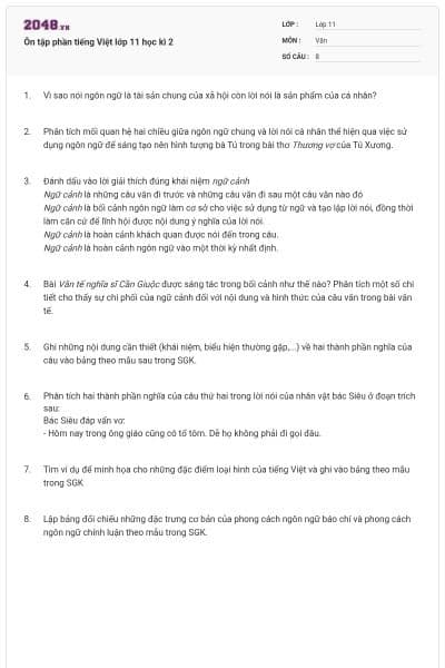 Ôn tập phần tiếng Việt lớp 11 học kì 2