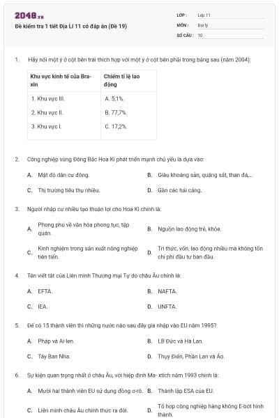 Đề kiểm tra 1 tiết Địa Lí 11 có đáp án (Đề 19)