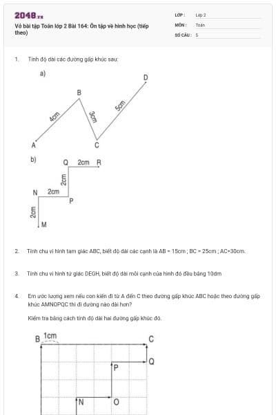 Vở bài tập Toán lớp 2 Bài 164: Ôn tập về hình học (tiếp theo)