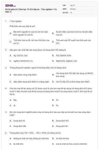 Đề thi giữa kì 2 Hóa học 10 (Có đáp án - Trắc nghiệm + Tự luận 1)