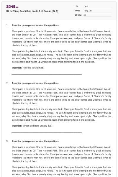 Đề thi Tiếng Anh 5 Cuối học kì 1 có đáp án (Đề 1)