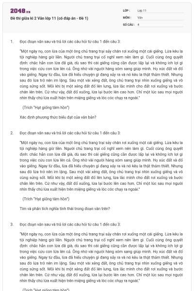 Đề thi giữa kì 2 Văn lớp 11 (có đáp án - Đề 1)