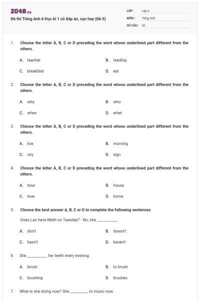 Đề thi Tiếng Anh 6 Học kì 1 có đáp án, cực hay (Đề 5)