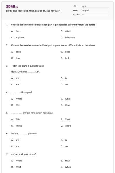 Đề thi giữa kì 2 Tiếng Anh 6 có đáp án, cực hay (Đề 4)