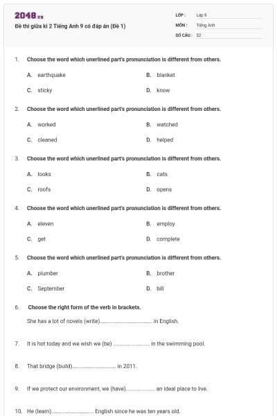 Đề thi giữa kì 2 Tiếng Anh 9 có đáp án (Đề 1)