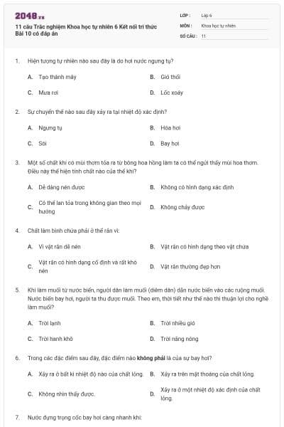 11 câu Trắc nghiệm Khoa học tự nhiên 6 Kết nối tri thức Bài 10 có đáp án