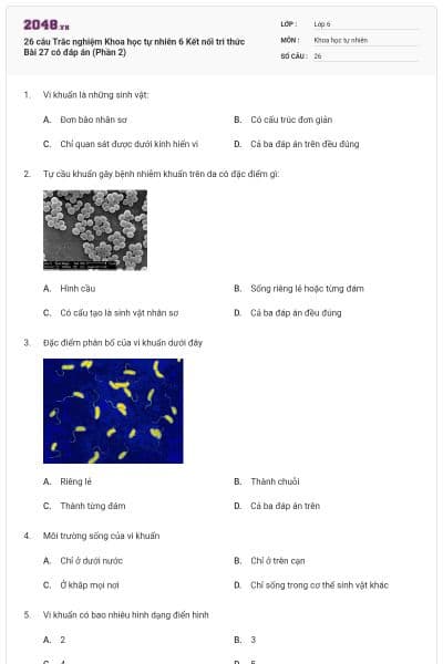 26 câu Trắc nghiệm Khoa học tự nhiên 6 Kết nối tri thức Bài 27 có đáp án (Phần 2)