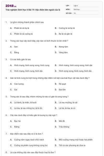Trắc nghiệm Sinh Học 6 Bài 19: Đặc điểm bên ngoài của lá