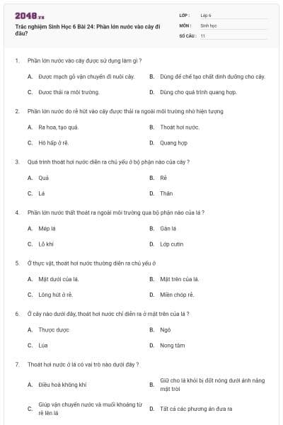 Trắc nghiệm Sinh Học 6 Bài 24: Phần lớn nước vào cây đi đâu?