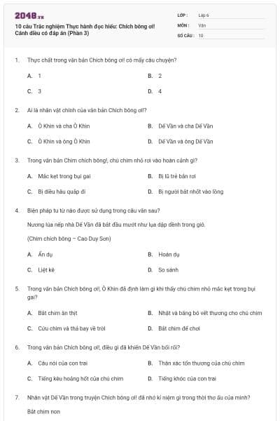 10 câu Trắc nghiệm Thực hành đọc hiểu: Chích bông ơi! Cánh diều có đáp án (Phần 3)