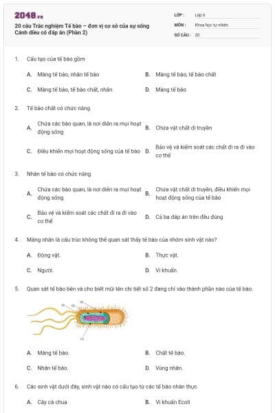 20 câu Trắc nghiệm Tế bào – đơn vị cơ sở của sự sống Cánh diều có đáp án (Phần 2)