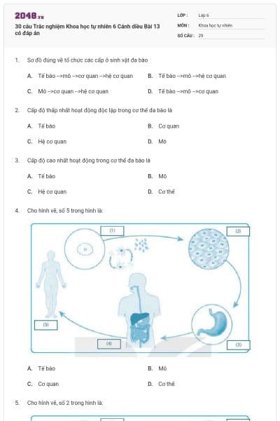 30 câu Trắc nghiệm Khoa học tự nhiên 6 Cánh diều Bài 13 có đáp án