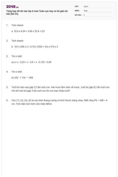 Tổng hợp đề thi vào lớp 6 môn Toán cực hay có lời giải chi tiết (Đề 24)