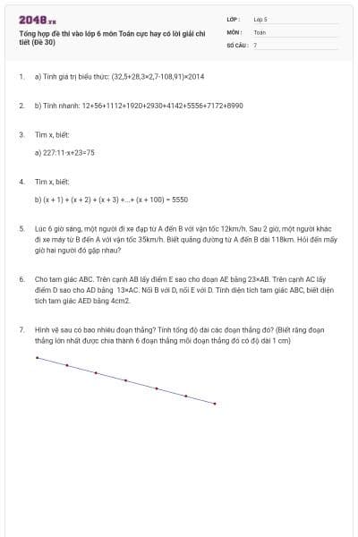 Tổng hợp đề thi vào lớp 6 môn Toán cực hay có lời giải chi tiết (Đề 30)