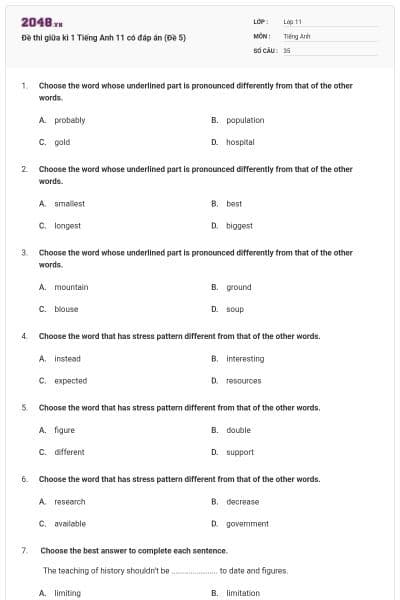 Đề thi giữa kì 1 Tiếng Anh 11 có đáp án (Đề 5)
