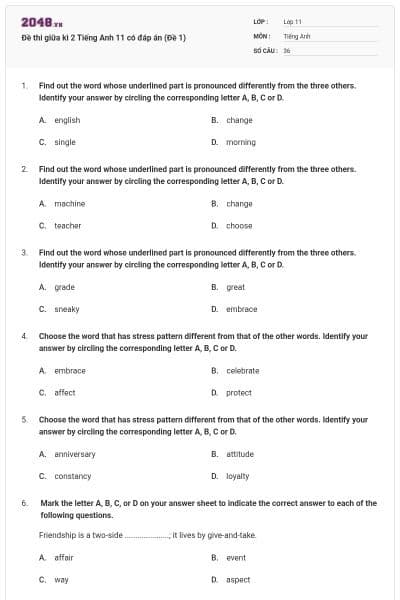 Đề thi giữa kì 2 Tiếng Anh 11 có đáp án (Đề 1)