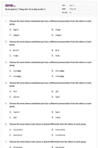 Đề thi giữa kì 1 Tiếng Anh 10 có đáp án (Đề 1)