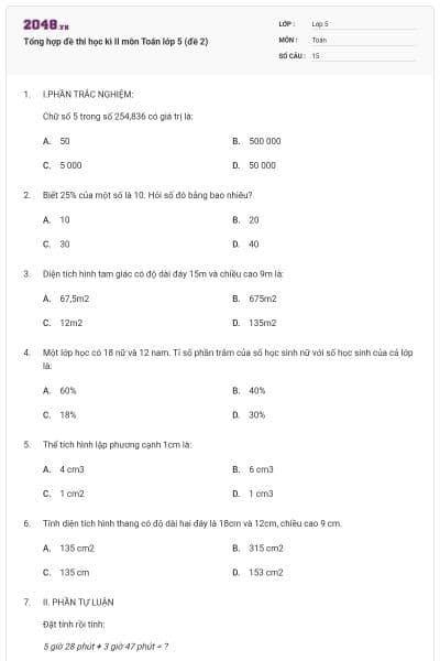 Tổng hợp đề thi học kì II môn Toán lớp 5 (đề 2)