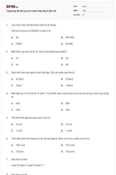 Tổng hợp đề thi học kì II môn Toán lớp 5 (đề 10)